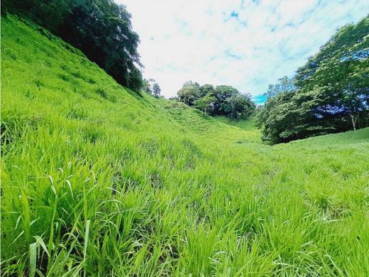 Farmhouse in Puerto Armuelles, Distrito de Barú