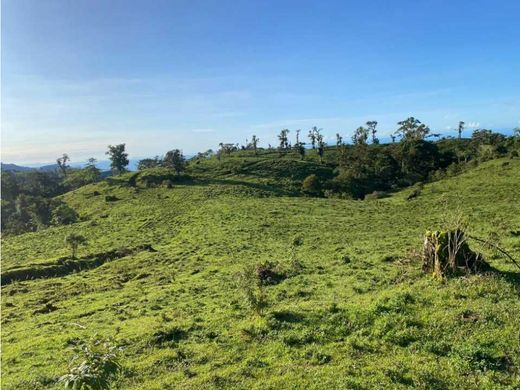 Rustykalny lub Wiejski w Volcán, Distrito de Bugaba