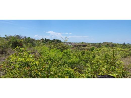 أرض ﻓﻲ San Carlos, Distrito de San Carlos