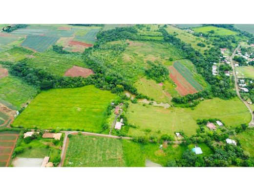 전원/농가 / La Chorrera, Distrito de La Chorrera