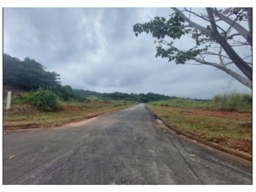 Αγροτεμάχιο σε Pedregal, Distrito de Panamá