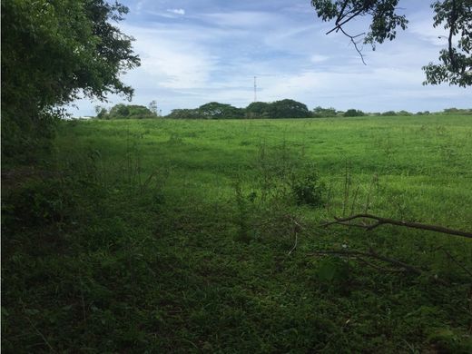 Terreno - Guararerito, Distrito de Los Santos