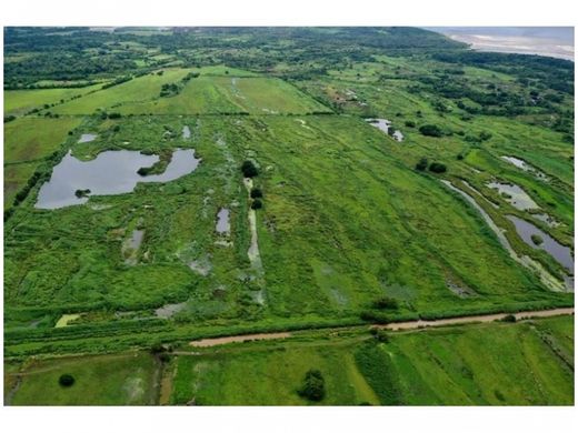 Terreno - Pacora, Distrito de Panamá