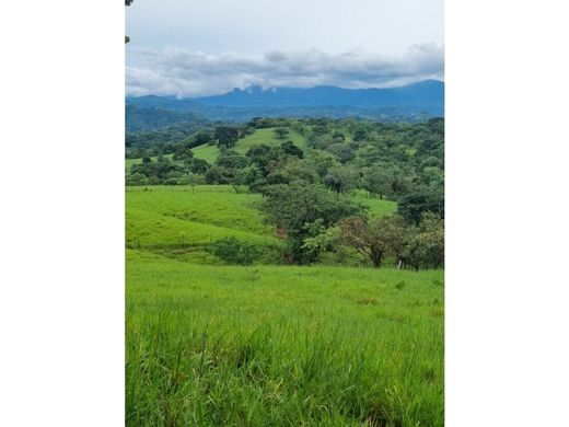Farmhouse in Chiriquí, Distrito de David