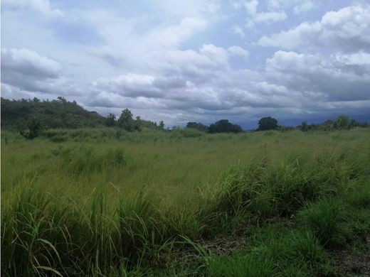 Grundstück in Calobre, Distrito de Calobre