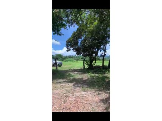 Land in Cañaveral, Distrito Penonomé