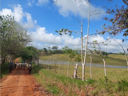 Rustik ya da çiftlik La Chorrera, Distrito de La Chorrera