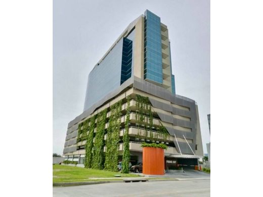 パナマシティ, Distrito de Panamáの高級住宅