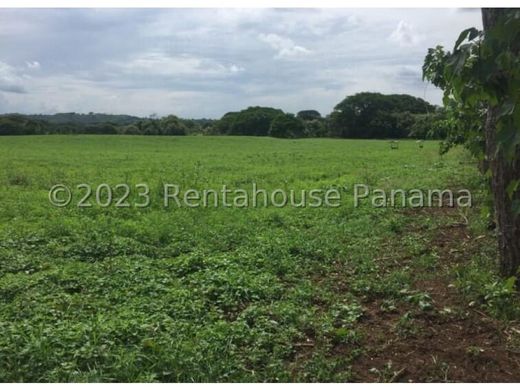 Terreno - Los Santos, Distrito de Los Santos