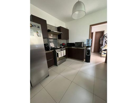 호화 저택 / 파나마 시, Distrito de Panamá