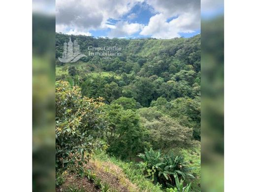 Ρουστίκ ή αγροικία σε Boquete, Distrito de Boquete