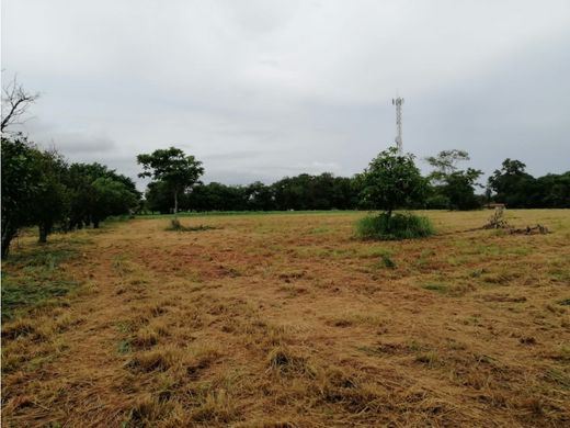 Αγροτεμάχιο σε Chame, Distrito de Chame