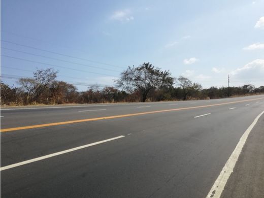 San Carlos, Distrito de San Carlosの土地