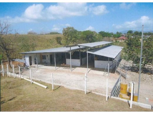 ﻣﻨﺰﻝ ﺭﻳﻔﻲ/ ﺑﻴﺖ ﻤﺰﺭﻋﺔ ﻓﻲ Chepo, Distrito de Chepo