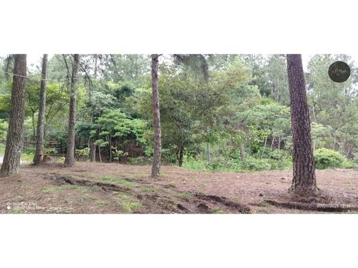 Terreno a Gualaca, Distrito de Gualaca