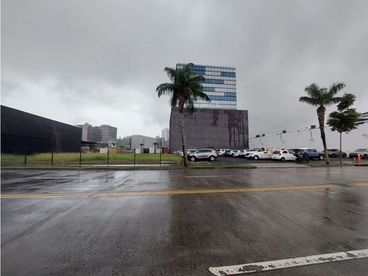 토지 / 파나마 시, Distrito de Panamá