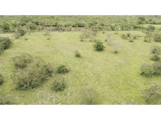 Arsa Dolega District, Distrito de Dolega