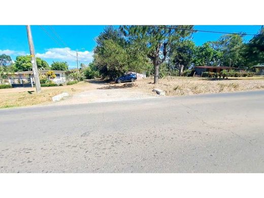 Ferme à David, Distrito de David