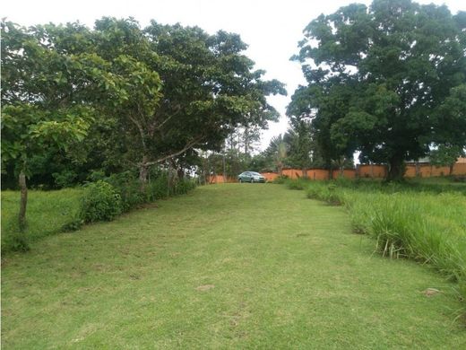Сельский Дом, La Chorrera, Distrito de La Chorrera