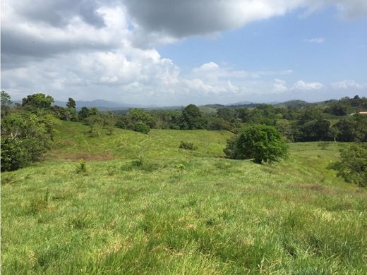 Rustico o casale a Buena Vista, Distrito de Colón