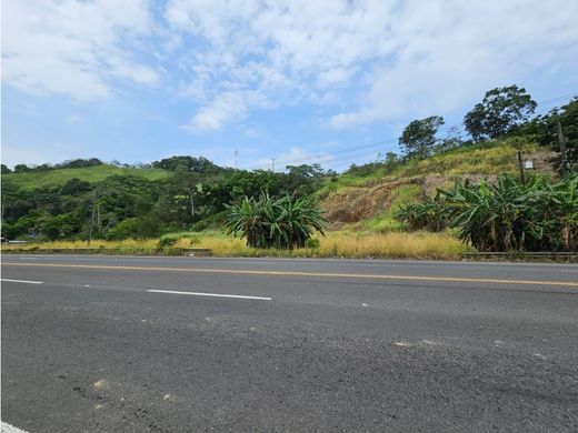Rustik ya da çiftlik Cristóbal, Distrito de Colón