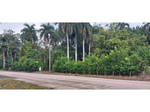 Ferme à Panamá, Distrito de Panamá