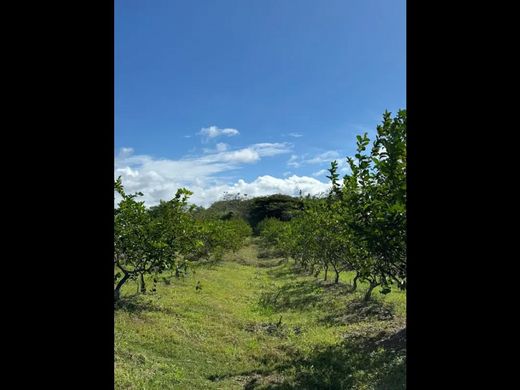Gutshaus oder Landhaus in Cañaveral, Distrito Penonomé
