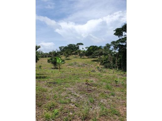 La Chorrera, Distrito de La Chorreraのカントリー風またはファームハウス