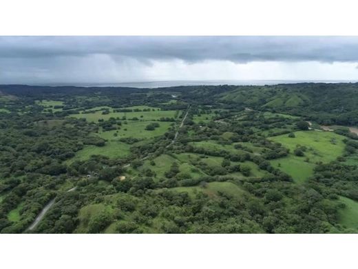 Teren w Pedasí, Distrito de Pedasí