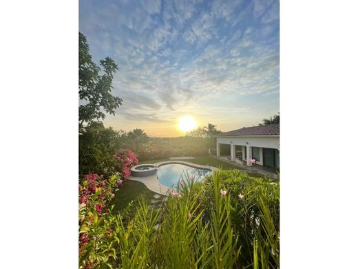 Lüks ev San Carlos, Distrito de San Carlos