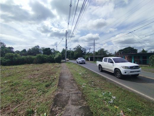 Terreno en Pedregal, Distrito de Panamá
