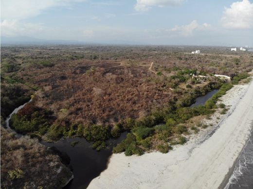 Boerderij in San Carlos, Distrito de San Carlos