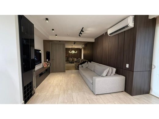 Daire Panama Pacifico, Provincia de Panamá