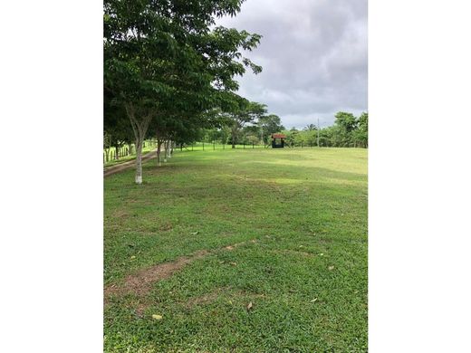 Terreno a La Chorrera, Distrito de La Chorrera