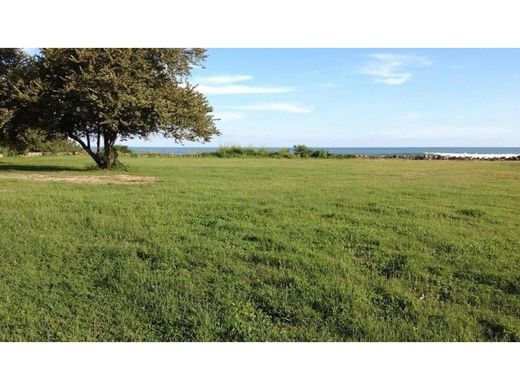 San Carlos, Distrito de San Carlosの土地