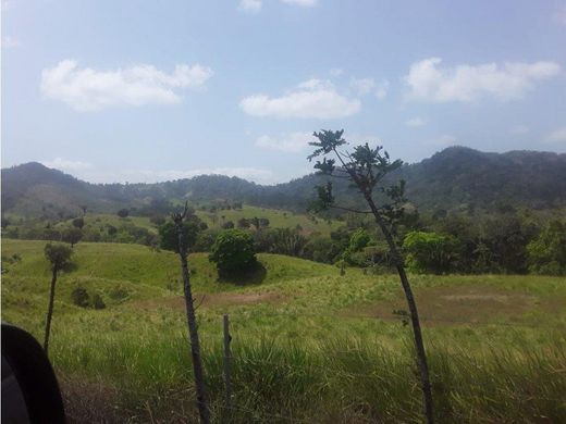 Grundstück in Metetí, Distrito de Pinogana