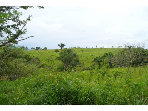 Terreno a Bella Vista, Distrito de Donoso