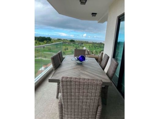 Daire San Carlos, Distrito de San Carlos