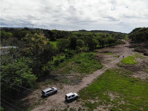 San Carlos, Distrito de San Carlosの土地