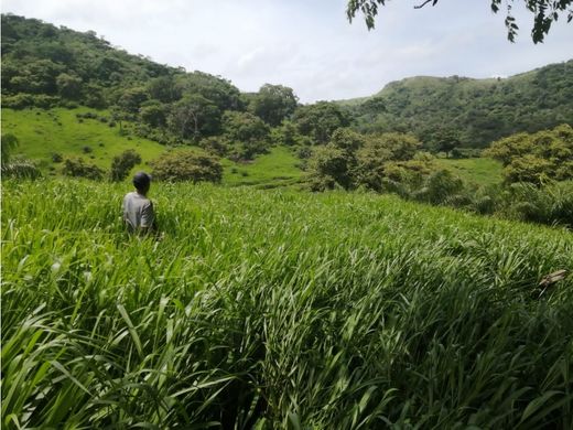 ﻣﻨﺰﻝ ﺭﻳﻔﻲ/ ﺑﻴﺖ ﻤﺰﺭﻋﺔ ﻓﻲ Capira, Distrito de Capira