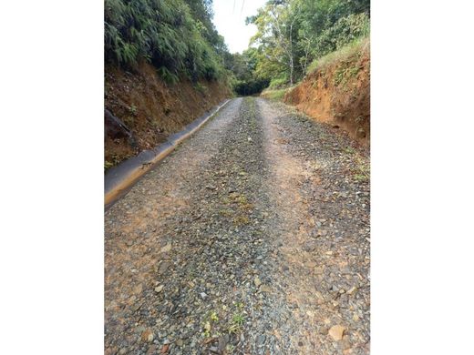 Cortijo o casa de campo en San Isidro, Distrito San Miguelito