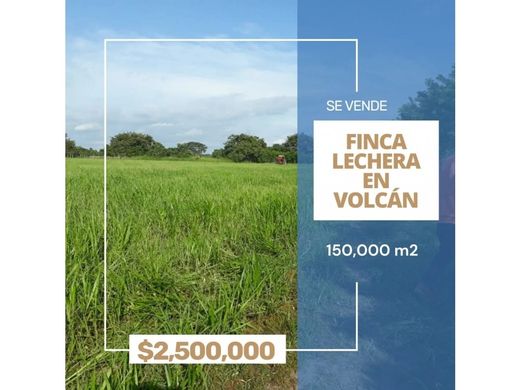 Boerderij in Volcán, Distrito de Bugaba