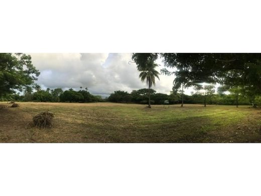 Land in San Carlos, Distrito de San Carlos