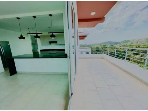 Daire Panama (şehir)
, Distrito de Panamá