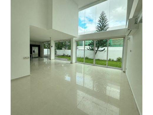 Элитный дом, Панама, Distrito de Panamá
