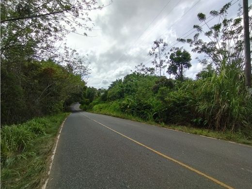 Boerderij in San Carlos, Distrito de San Carlos