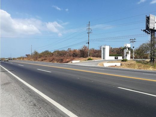 San Carlos, Distrito de San Carlosの土地