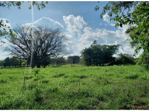 أرض ﻓﻲ Dolega District, Distrito de Dolega