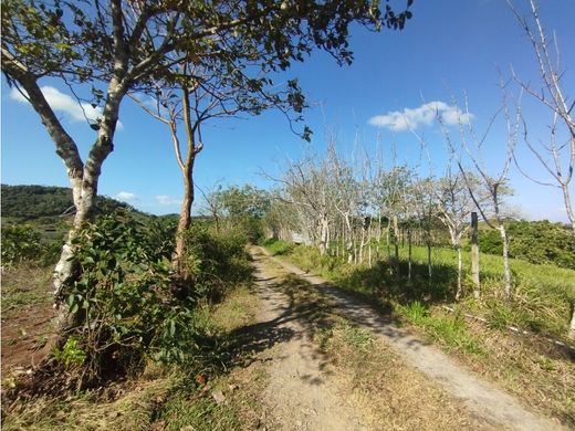 Ferme à La Chorrera, Distrito de La Chorrera