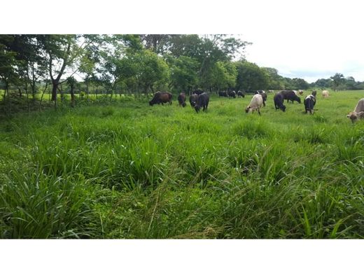 Rustico o casale a Santiago de Veraguas, Distrito de Santiago